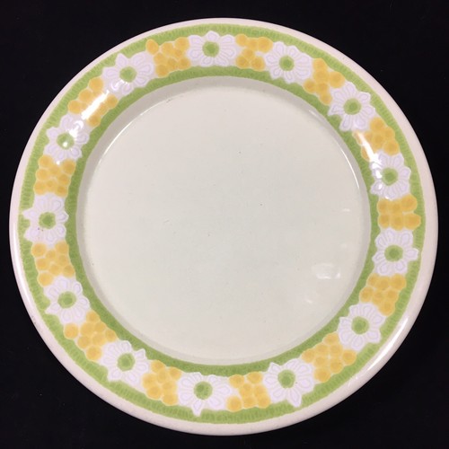 Franciscan daisy picnic - daisy,