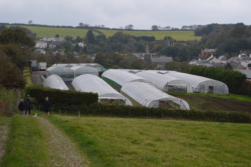Photo 6x4 polytunnels near - 6x4,