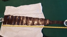Vintage real whole snake skin