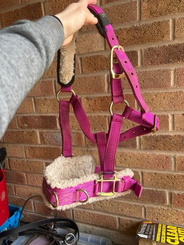 Lunging cavesson headcollar - lunging,