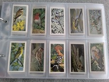 Brooke Bond Wild Birds In Britain 1965 Full Set Of 50 perfect condition 