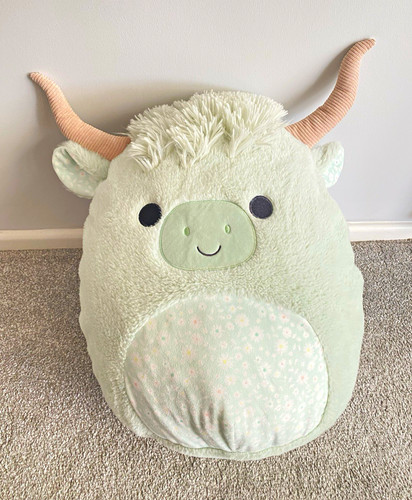 Large squishmallow soft plush - large,