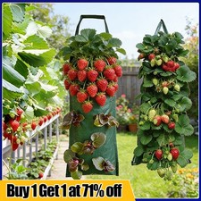 Fabric Tomato Strawberry