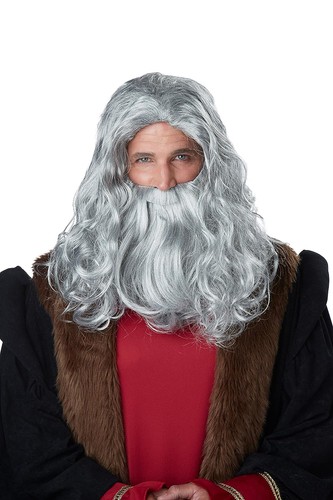 Renaissance man wig beard grey - renaissance,