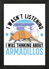 Armadillo Gift Framed Wall Art