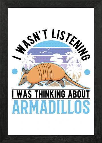 Armadillo gift framed - gift,