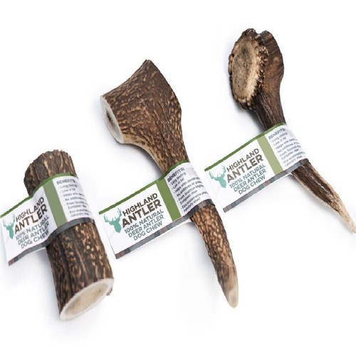 Highland antler natural adult - highland,