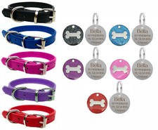 Vibrant Leather Dog Collar for