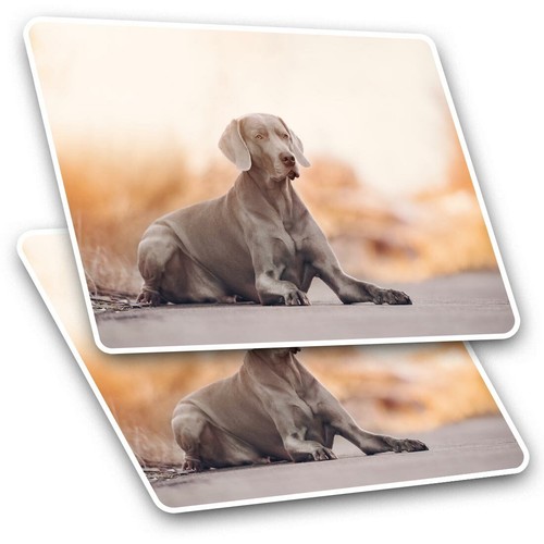 Rectangle stickers 5 cm - x, 7.5