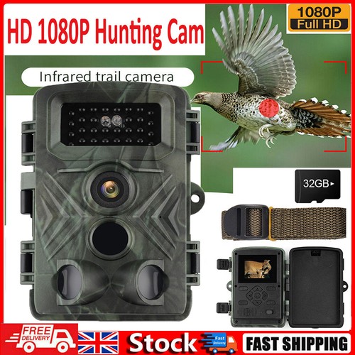 58mp wildlife trail - wildlife, camera