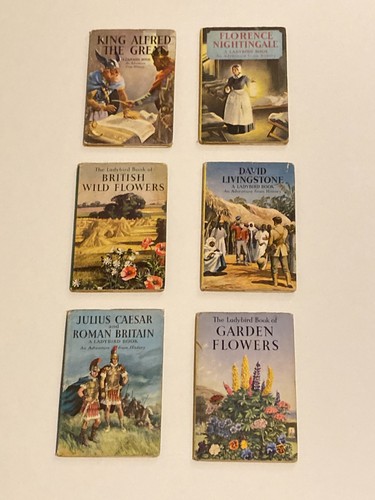 Vintage ladybird books - vintage,