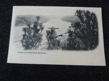 Looking Up the Buffalo RIver East London South Africa Postcard - 110656