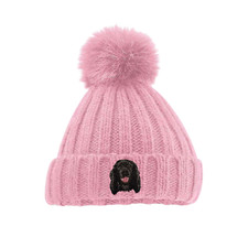 BLACK WORKING COCKER SPANIEL