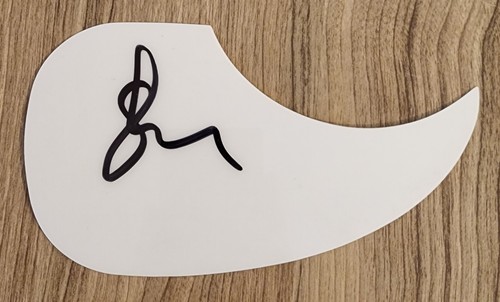 Stefan lessard signed acoustic - stefan,