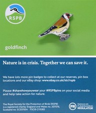 RSPB Pin Badge goldfinch NIIC P03115