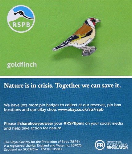 Rspb pin badge - rspb, goldfinch