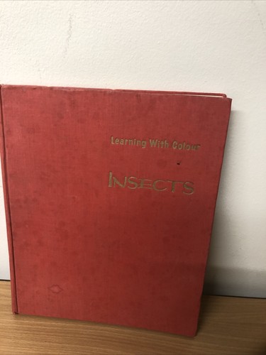 Vintage insects learning - insects,