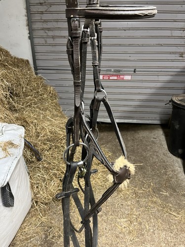 Brown grackle full bridle with - brown,