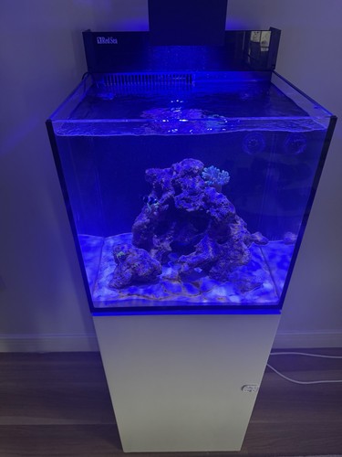 Red sea nano max aquarium - red,