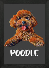 Dog poodle lover puppy - lover,