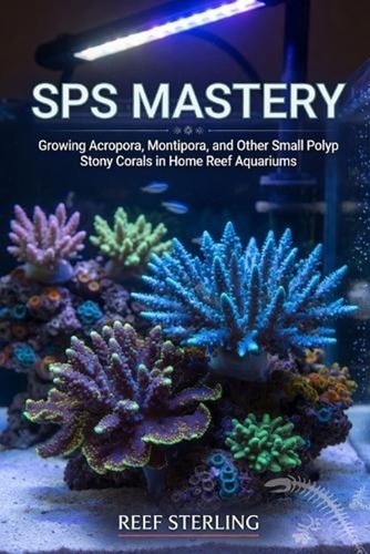 Sps mastery growing acropora - sps,