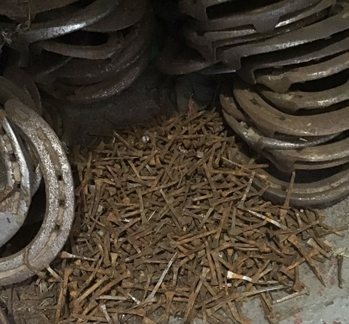 Real used lucky horseshoe - x,