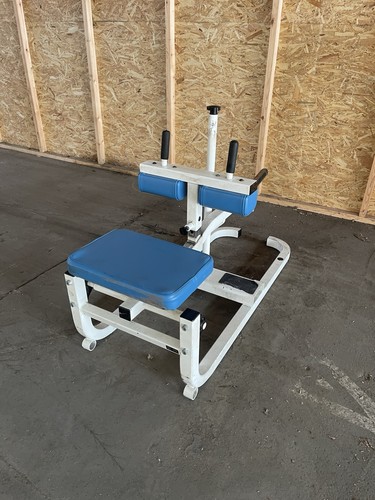 Cybex plate loaded - cybex,