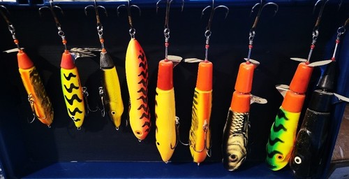 Nine salmo topwater lures - topwater,