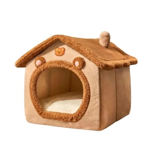 Pet cat kitten - cat,
