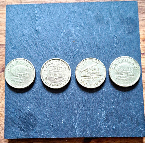 Gibraltar one pound coins - one,