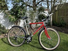 Men’s Large Carrera Vulcan