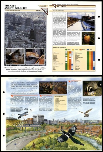 The city its wildlife - the,