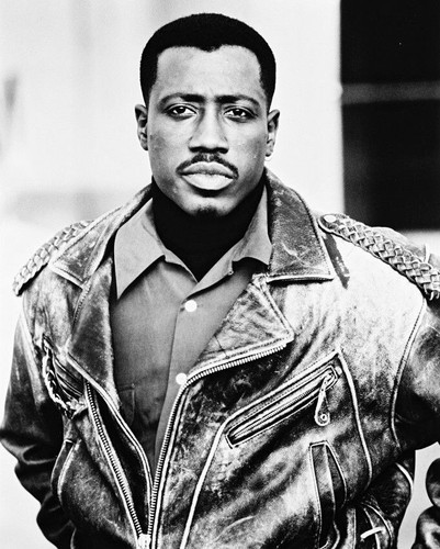 76029 wesley snipes photo wall - wesley,