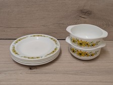Pyrex Dishes Set Plates &