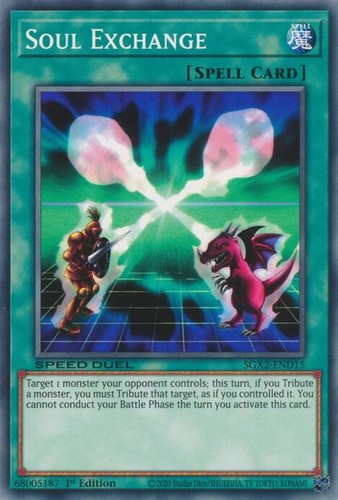 Soul exchange sgx2 - soul, sgx2-end15