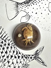Vintage lucite crab - vintage,