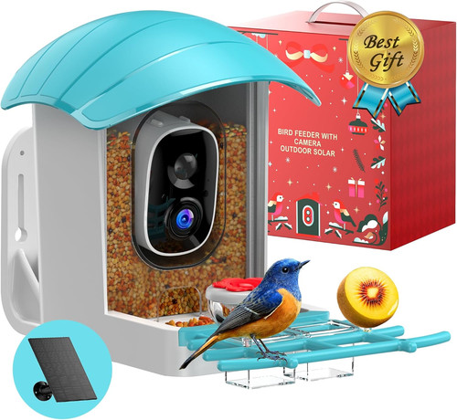 Smart solar bird feeder - bird,