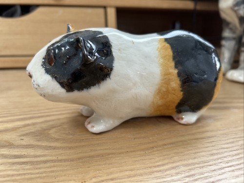 Winstanley guinea pig size - pig, 2