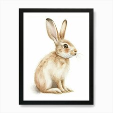Netherland Dwarf Rabbit Kids