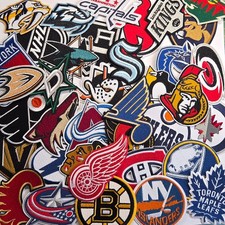 NHL Ice Hockey Team Logo