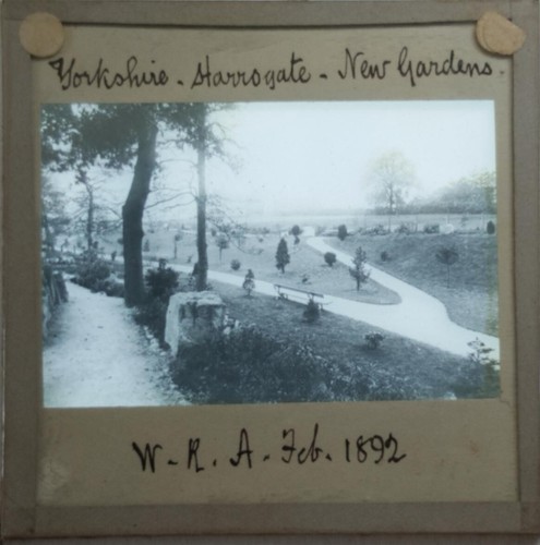 Antique magic lantern slides - antique,