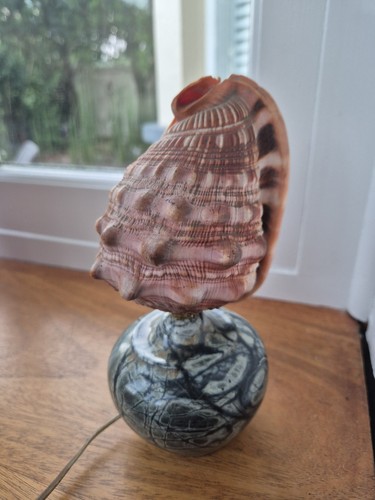 Vintage mid century conch - mid,
