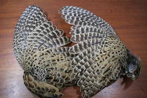 Matched pair preserved - matched,