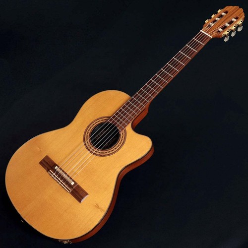 Gibson chet atkins - chet, antiqe