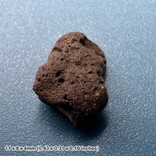 Authentic dinosaur bone fossil