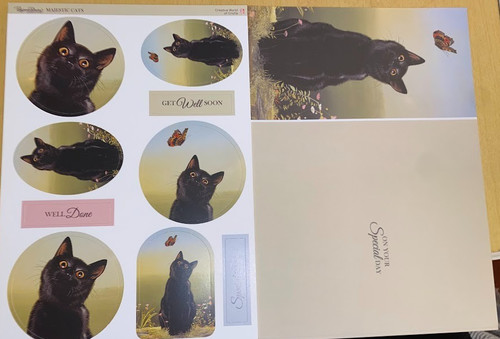 Pollyanna pickering black - pollyanna, cat