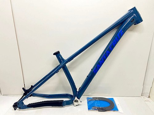 Santa cruz chameleon 29 - cruz, al