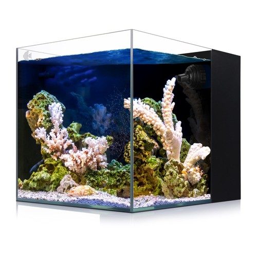 Coralland gallon saltwater - 8-gallon,