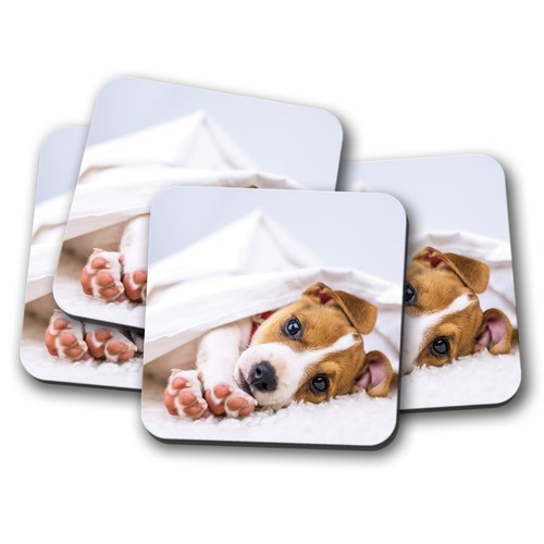 Set cute jack - 4, russell
