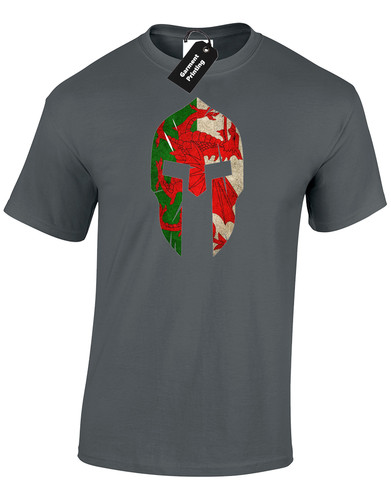 Wales spartan mens shirt tee - spartan,